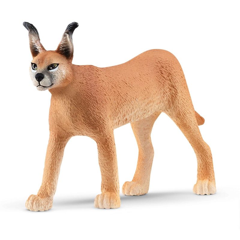 schleich-WILD-LIFE-14867-action-figure-giocattolo--SCHLEICH-Wild-Life-Caracal-Female-Toy-Figure-3-to-8-Years-Tan-14867-