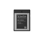 SanDisk PRO-CINEMA 256 GB CFexpress (SanDisk - Scheda di memoria flash - 256 GB - CFexpress Tipo B - nero)