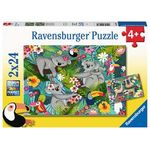 Ravensburger Koala e bradipi