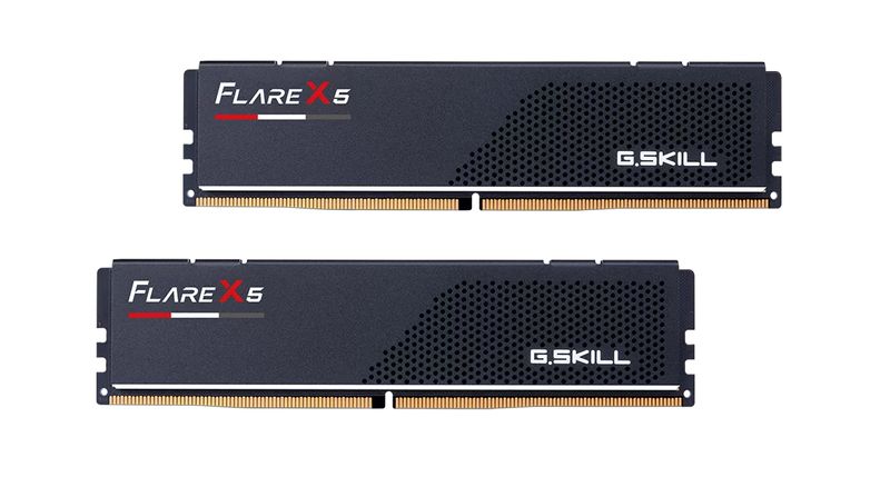 G.Skill-Flare-X5-F5-5600J4040D24GX2-FX5-memoria-48-GB-2-x-24-GB-DDR5-5600-MHz--48GB24GBx2-G.SKILL-Flare-X5-PC5-5600MHz-C