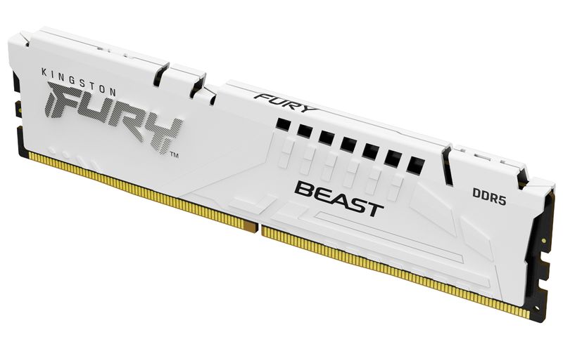 Kingston-Technology-FURY-Beast-16-GB-5600-MT-s-DDR5-CL40-DIMM-White-XMP--Kingston-FURY-Beast---DDR5---modulo---16-GB---D