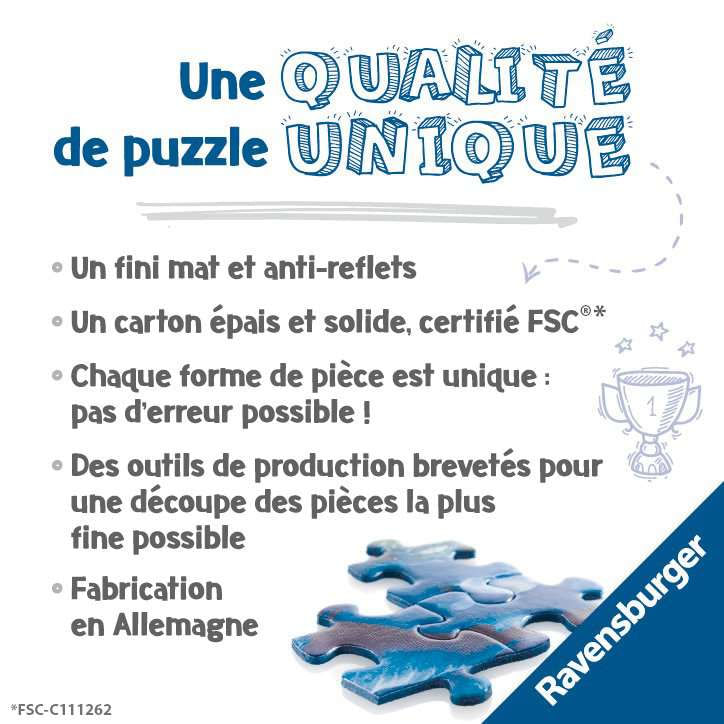Ravensburger-17390-puzzle-1000-pz