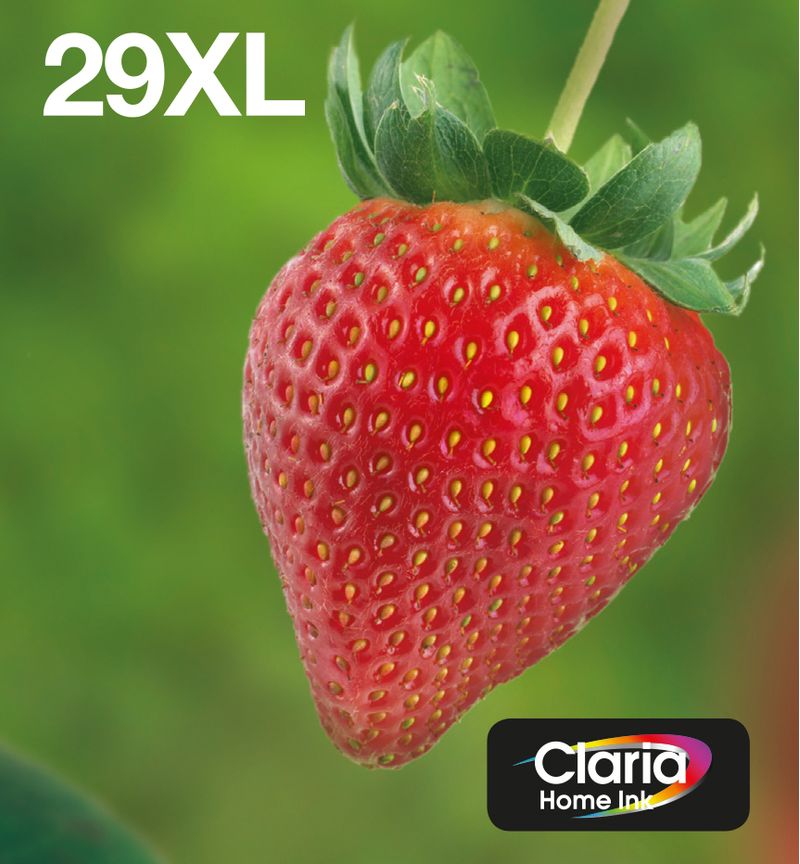 Epson-Strawberry-Multipack-Fragole-4-colori-Inchiostri-Claria-Home-29XL-in-confezione-EasyMail-Packaging--MULTI-4COLOURS