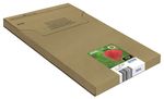 Epson-Strawberry-Multipack-Fragole-4-colori-Inchiostri-Claria-Home-29XL-in-confezione-EasyMail-Packaging--MULTI-4COLOURS