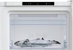 Beko-RFNM200T40WN-Congelatore-verticale-Libera-installazione-177-L-E-Bianco