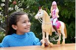 Barbie-Mysteries-The-Great-Horse-Chase-Bambola--Malibu--Con-Abiti-E-Accessori-Da-Equitazione