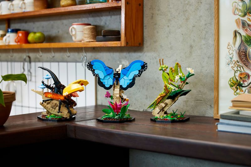 Collezione-di-insetti---Lego-Ideas-21342