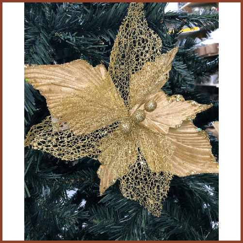 img-c4551583-0d2b-4c95-8192-35b551a9a4b0.png