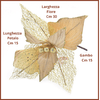 img-99b598b3-4169-4105-a2fc-780f0b25b3e8.png