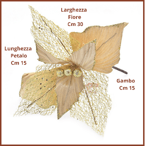 img-99b598b3-4169-4105-a2fc-780f0b25b3e8.png