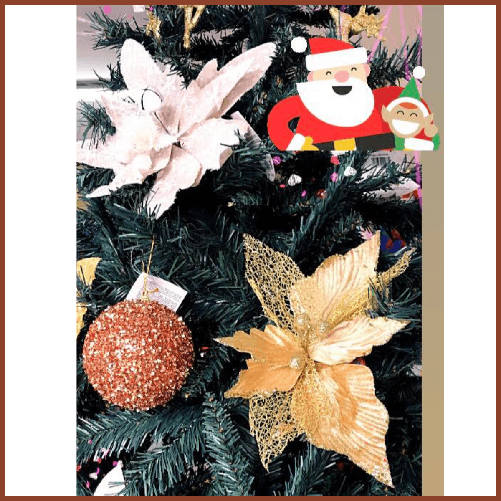 img-d9a3320a-7baf-4ad8-843b-616a188d4d42.png