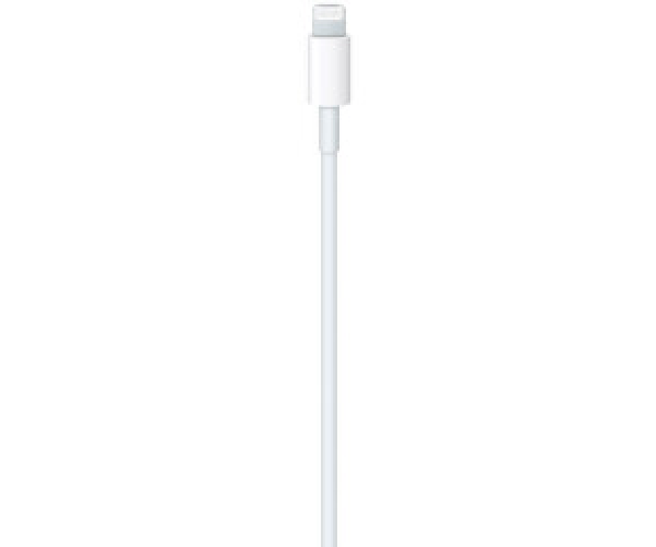 Apple-Cavo-da-USB-C-a-lightning-1mt