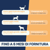 img-61c28933-84a8-4cee-9d57-72fa56a00cb3.png