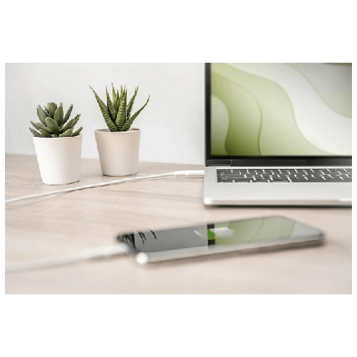 Digitus-Cavo-dati-di-ricarica-Lightning-USB-C™-MFI-1m