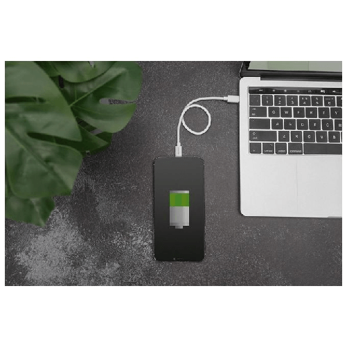 Digitus-Cavo-dati-di-ricarica-Lightning-USB-C™-MFI-1m