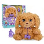 IMC Toys Baby Paws Love & Care Labradoodle