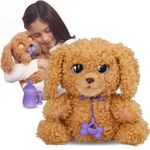 IMC-Toys-Baby-Paws-Love--Care-Labradoodle