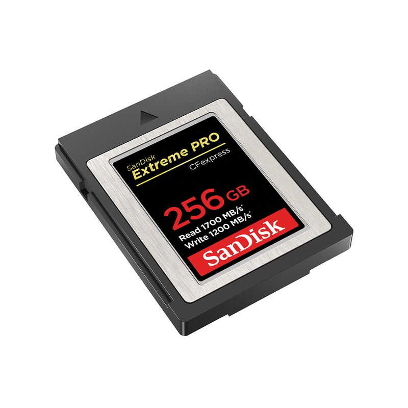 SDCFEXPRESS-256GB-EXTREME-PRO