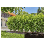 Gardena-13503-20-pompa-da-giardino-25-m-Sotto-terra-Nero