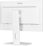 iiyama-ProLite-XUB2497HSN-W1-Monitor-PC-605-cm--23.8---1920-x-1080-Pixel-Full-HD-LED-Bianco