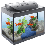 Tetra Acquario Starter line Led completo 30 l Nero