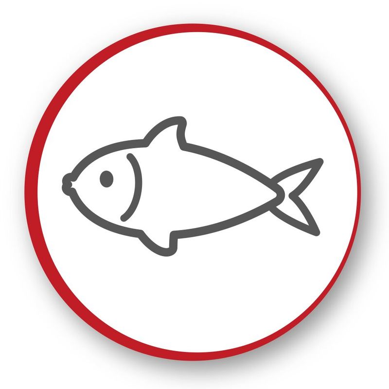 Moulinex-Ez3018-Easy-Fry-Compact-Precision-Friggitrice-ad-Aria-Calda-Elettrica-1030W