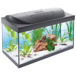 Tetra Acquario Starter line Led completo 54 l Nero