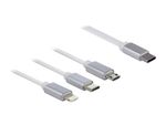 Delock-Cavo-di-ricarica-avvolgibile-USB-Type-C-3-in-1-per-Lightning---Micro-USB---USB-Type-C-bianco