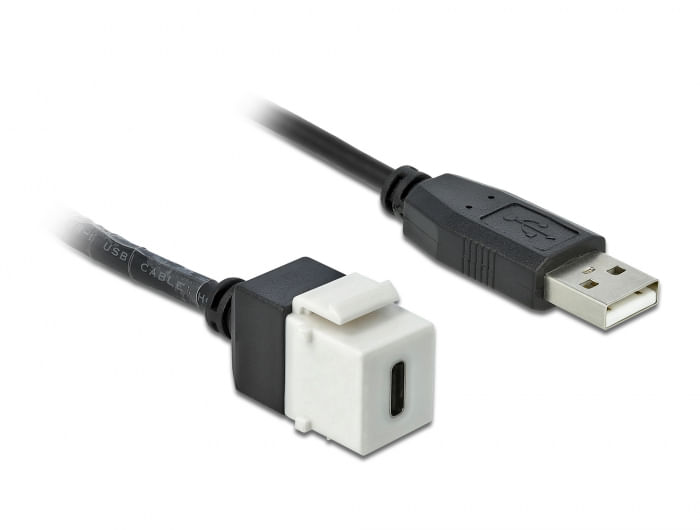 Delock-Modulo-Keystone-USB-2.0-C-femmina--USB-2.0-A-maschio-con-cavo