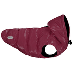 Record Cappottino impermeabile per cani Subzero XS - Lunghezza dorso 30 cm Rosso