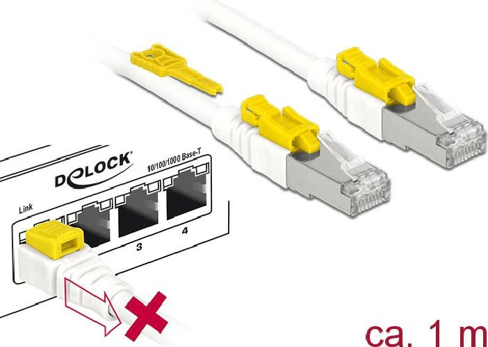 Delock-Cavo-RJ45-sicuro-Cat.6A-10-m