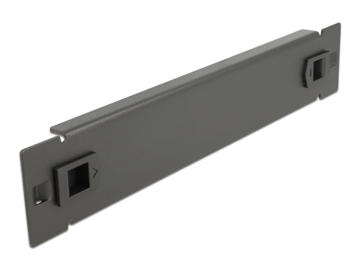 Delock-Copertura-cieca-per-armadio-di-rete-da-10--senza-attrezzi-1-U-nera