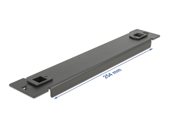 Delock-Copertura-cieca-per-armadio-di-rete-da-10--senza-attrezzi-1-U-nera