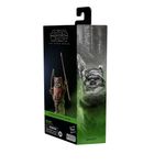 Star-Wars-The-Black-Series-Wicket-W.-Warrick