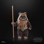 Star-Wars-The-Black-Series-Wicket-W.-Warrick