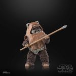 Star-Wars-The-Black-Series-Wicket-W.-Warrick