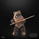 Star-Wars-The-Black-Series-Wicket-W.-Warrick