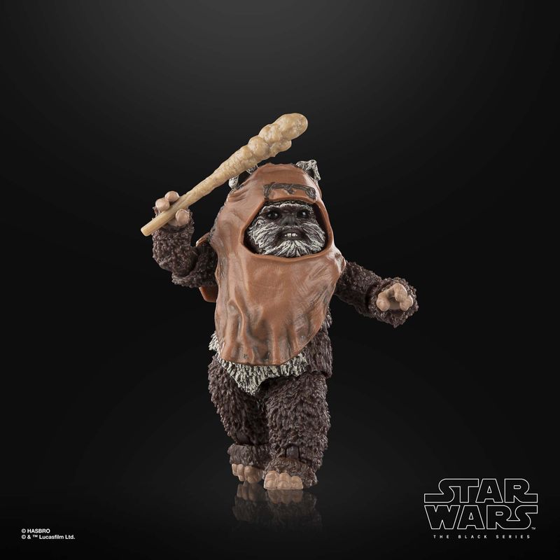 Star-Wars-The-Black-Series-Wicket-W.-Warrick