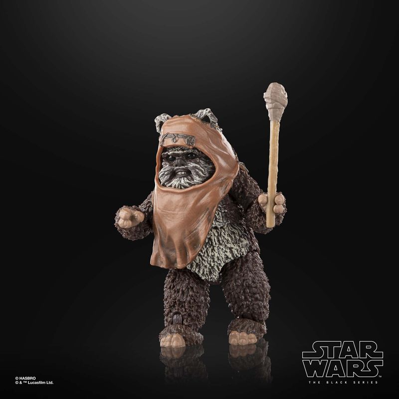 Star-Wars-The-Black-Series-Wicket-W.-Warrick