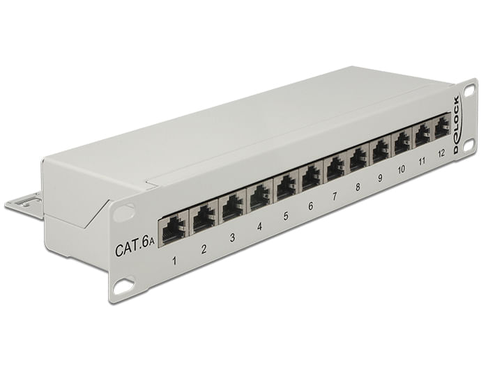 Delock Pannello patch da 10" a 12 porte Cat.6A grigio