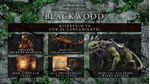 Bethesda-The-Elder-Scrolls-Online-Collection-Blackwood-per-Xbox-One