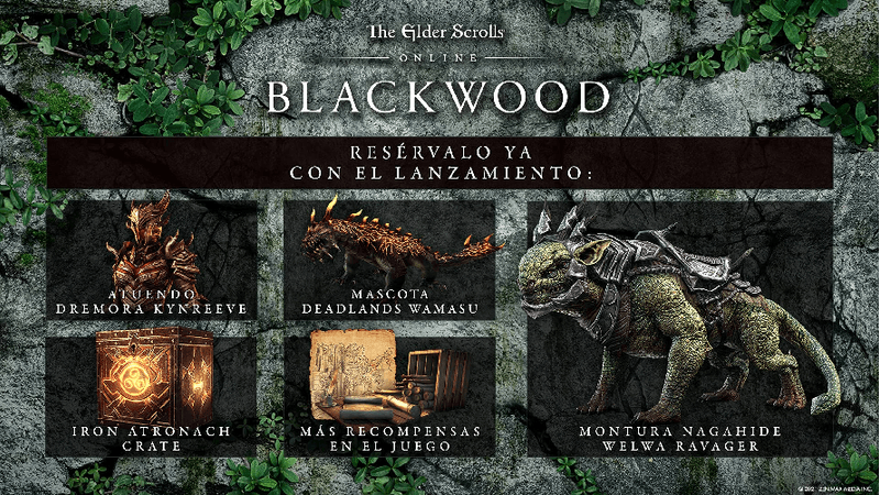 Bethesda-The-Elder-Scrolls-Online-Collection-Blackwood-per-Xbox-One