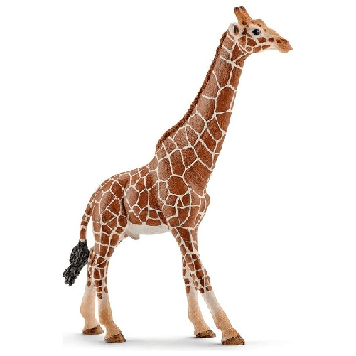 Schleich-WILD-LIFE-14749-action-figure-giocattolo