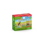 schleich-42481-set-da-gioco