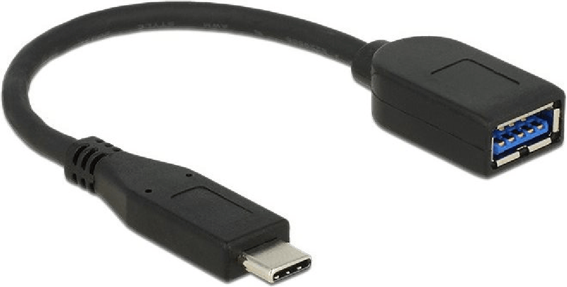 Delock-Adattatore-USB-3.1-Gen-2-USB-Type-C-maschio--USB-Type-A-femmina-10-cm