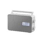 Panasonic RF-D30BTEG, DAB+ Radio Portatile Digitale Grigio, Bianco