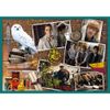Trefl-90392-puzzle-48-pz-Televisione-film