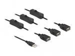 Delock---Splitter-di-rete---Da-USB--M--a-USB--W--2-A---10-m---Nero--86804-