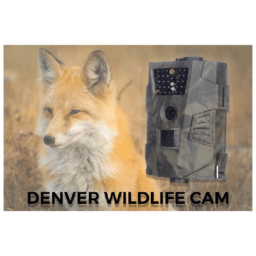 Denver-WCT-5001-fototrappola-CMOS-Visione-notturna-Mimetico-1920-x-1080-Pixel