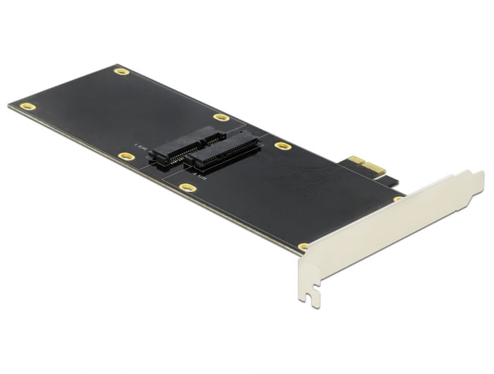 Delock-Scheda-PCI-Express-x1-per-2-x-SATA-HDD-SSD-lunga
